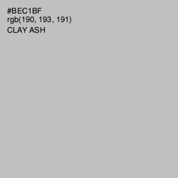 #BEC1BF - Clay Ash Color Image